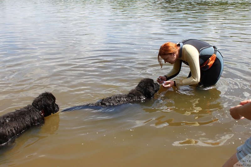 Фотография № 127835