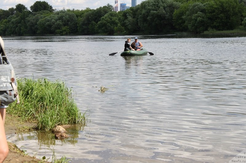 Фотография № 127837