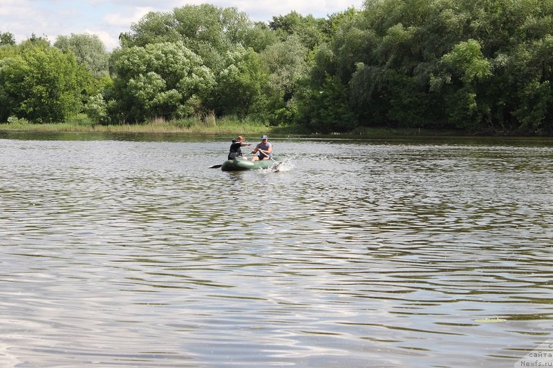 Фотография № 127838