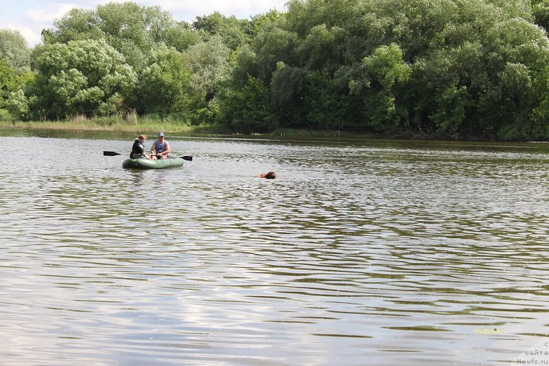 Фотография № 127839