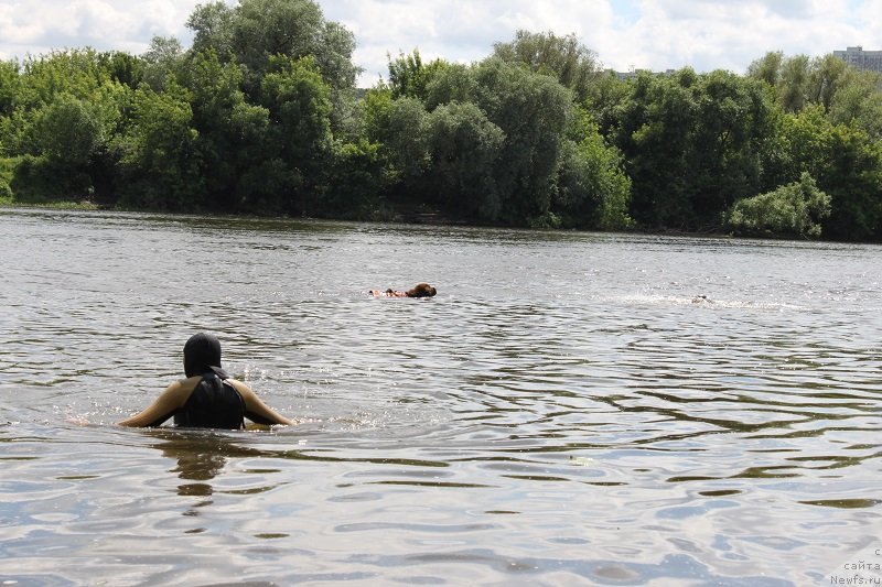 Фотография № 127840