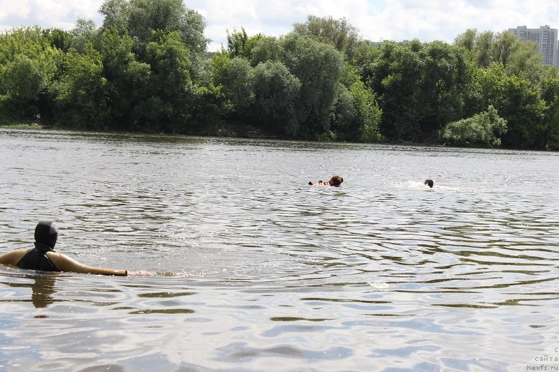 Фотография № 127841