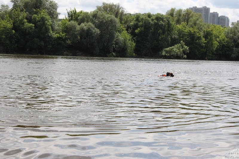 Фотография № 127842