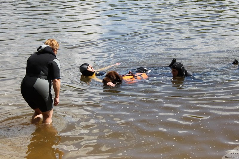 Фотография № 127844