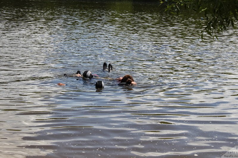 Фотография № 127845