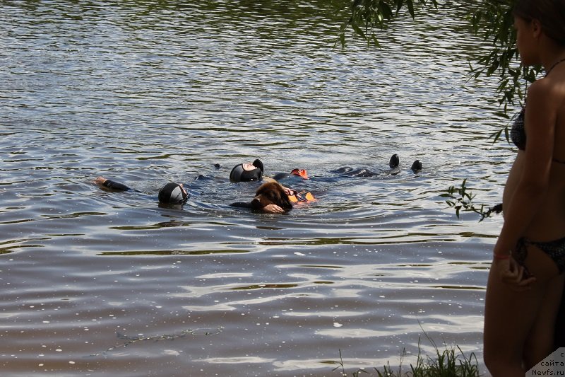 Фотография № 127846