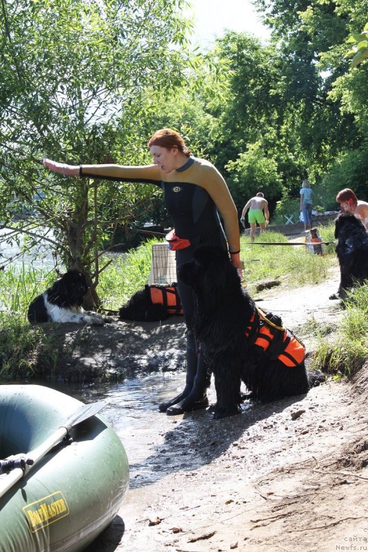 Фотография № 127847