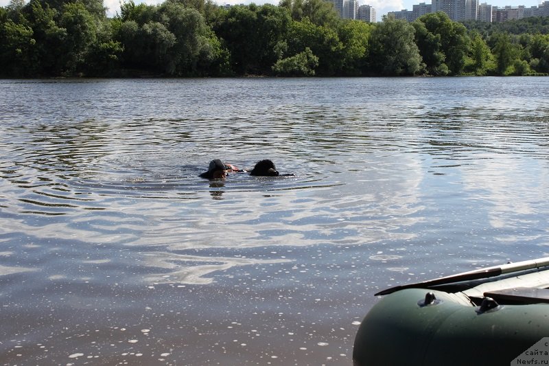 Фотография № 127849