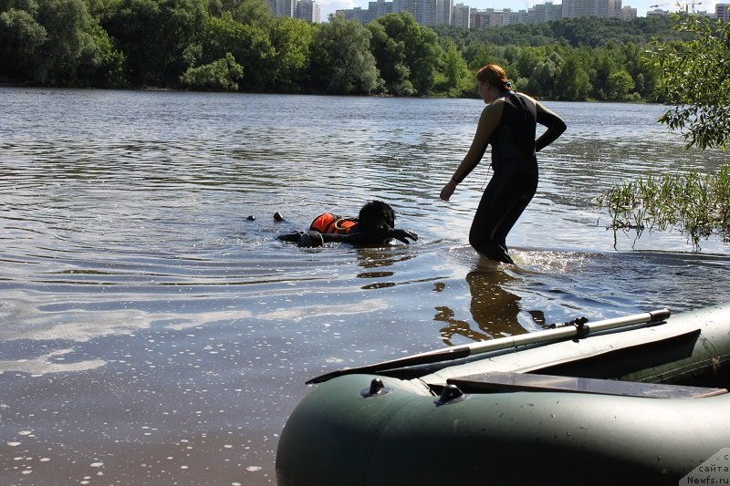 Фотография № 127850