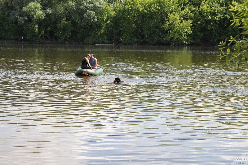 Фотография № 127852