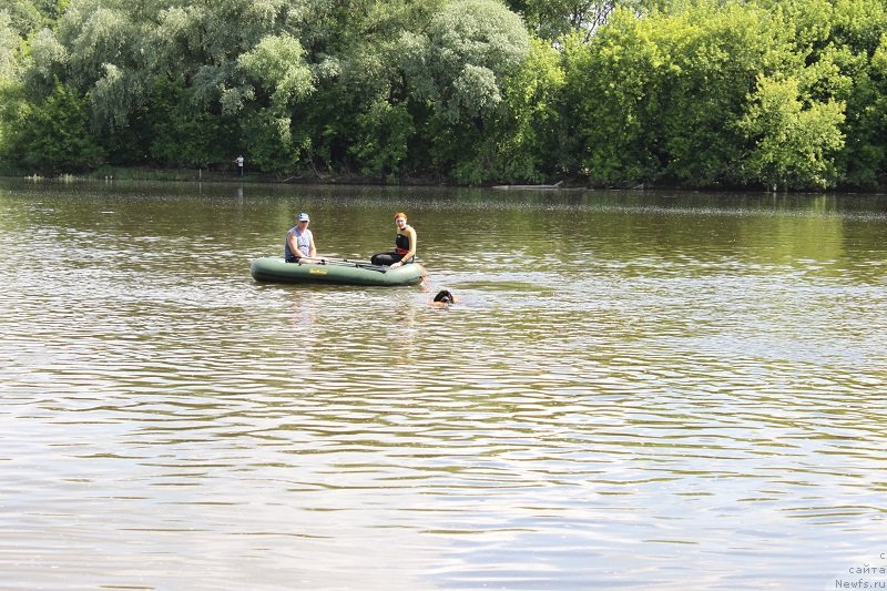 Фотография № 127854