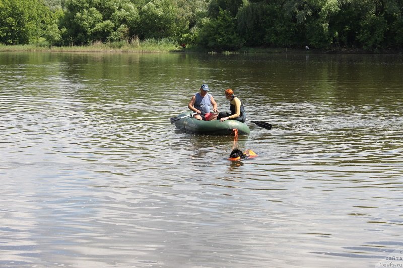 Фотография № 127855