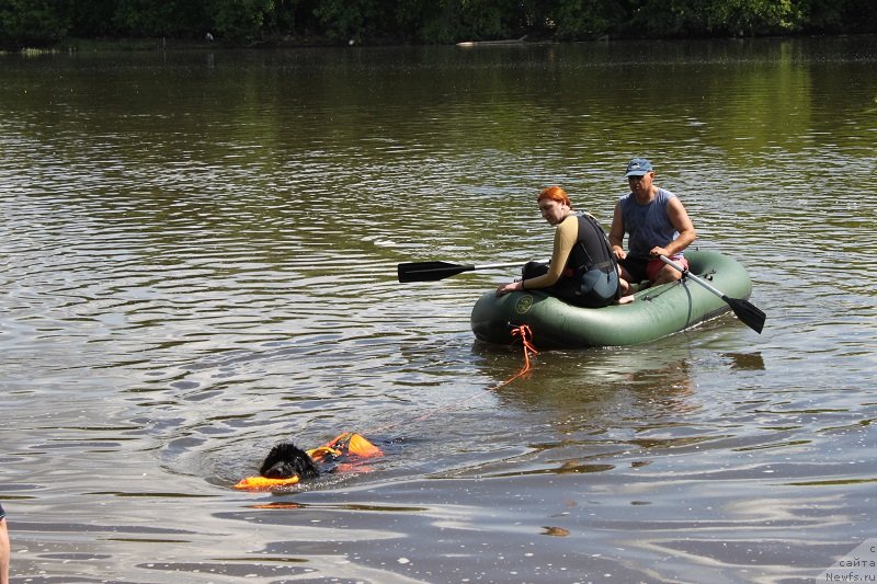 Фотография № 127856