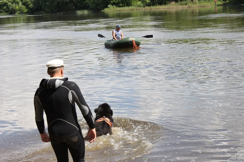 Фотография № 127858