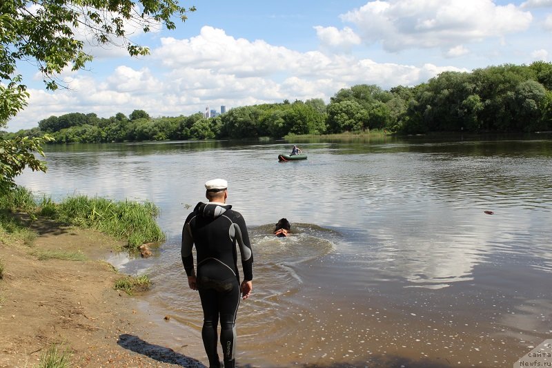 Фотография № 127859