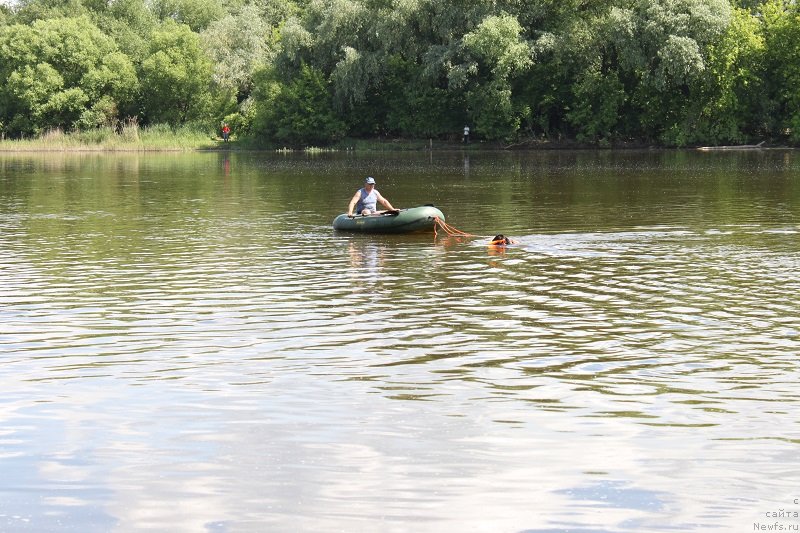 Фотография № 127861