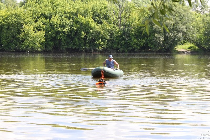 Фотография № 127863