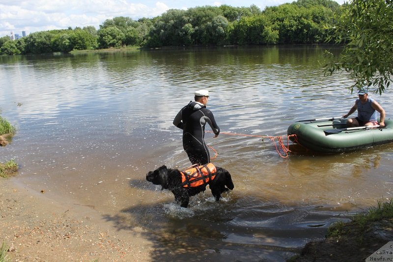 Фотография № 127865