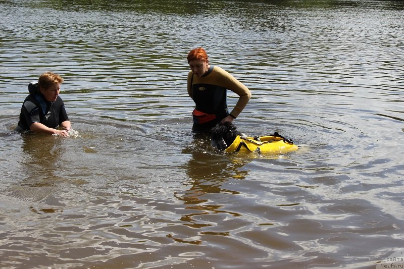 Фотография № 127871