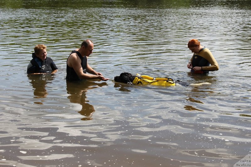 Фотография № 127873