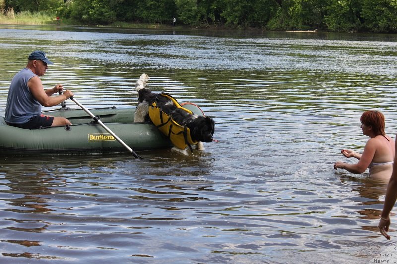 Фотография № 127876