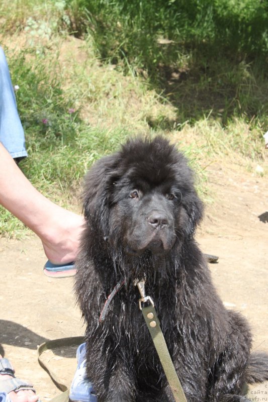 Фотография № 127887