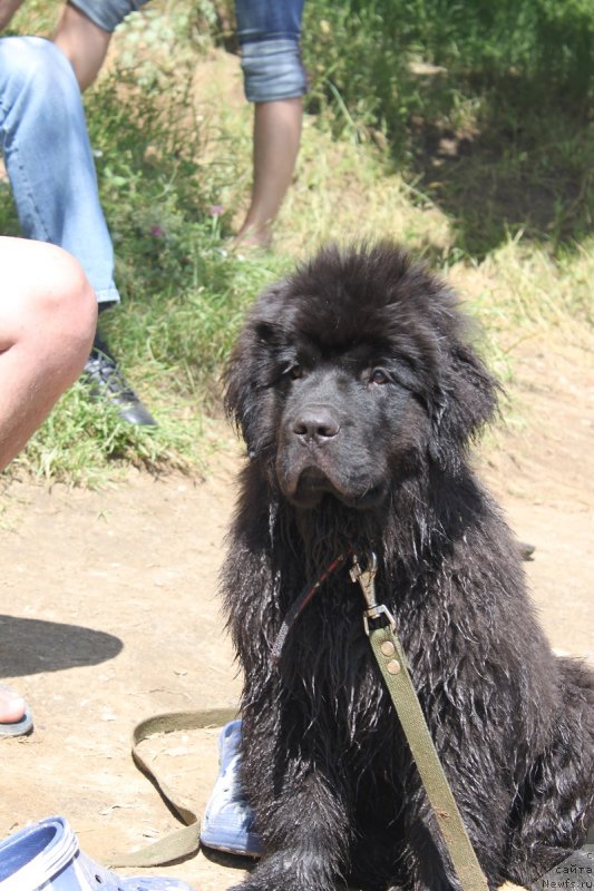 Фотография № 127888