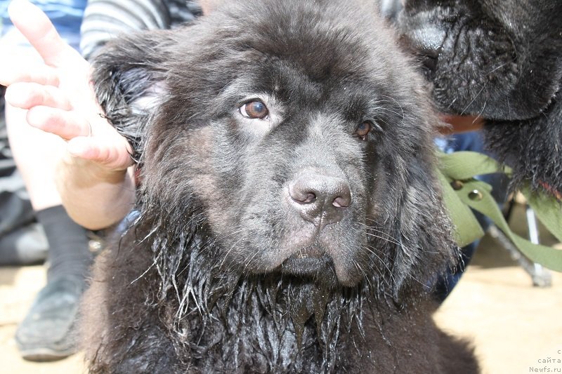 Фотография № 127890