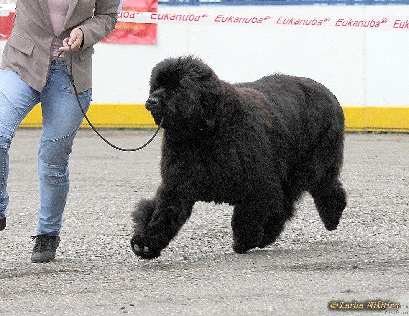 Фотография № 127897