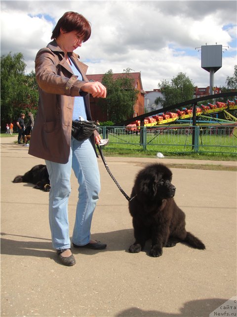 Фотография № 127902