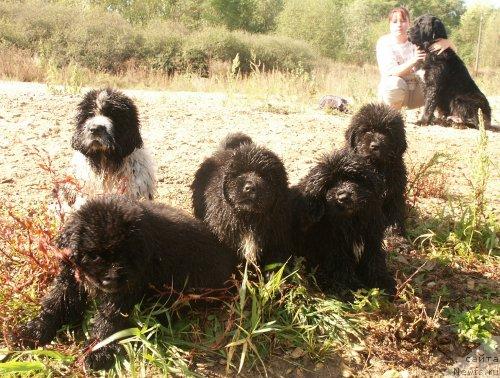 Фотография № 12792