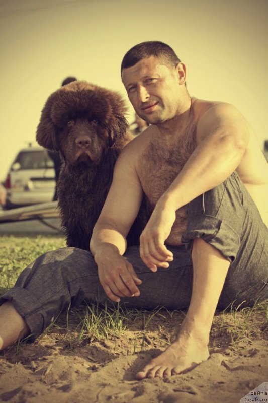 Фото: ньюфаундленд Символ Роскоши и Любви (Simvol Roskoshi I Lubvi)