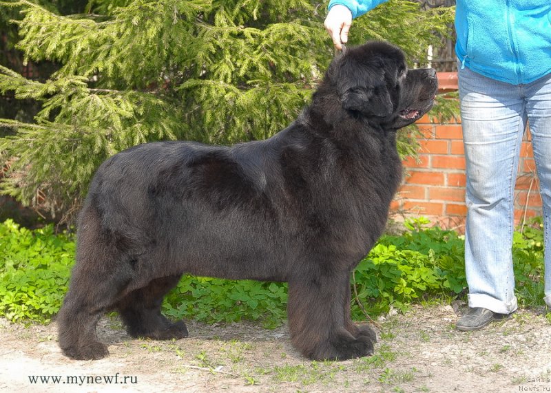 Фотография № 127924