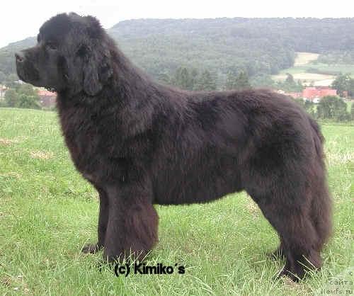 Фотография № 12794