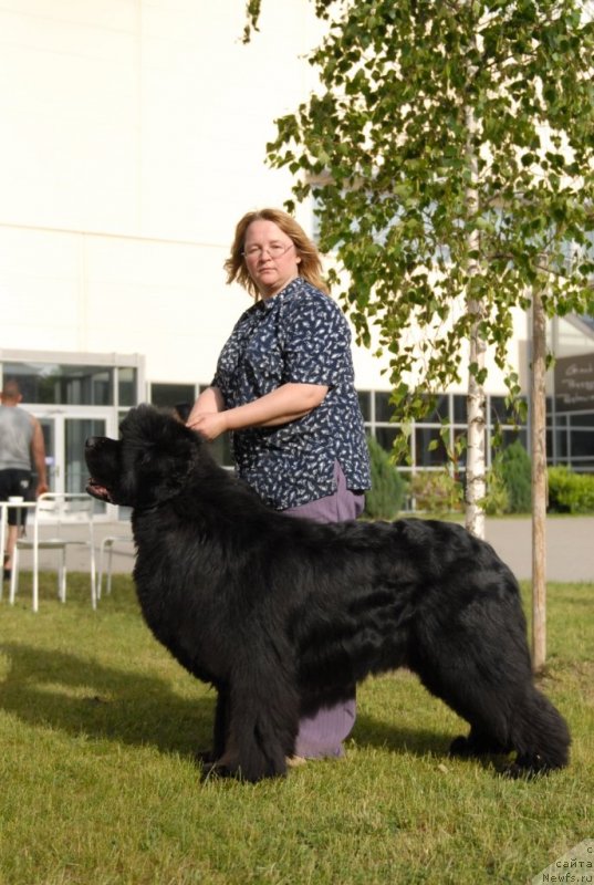 Фотография № 127941