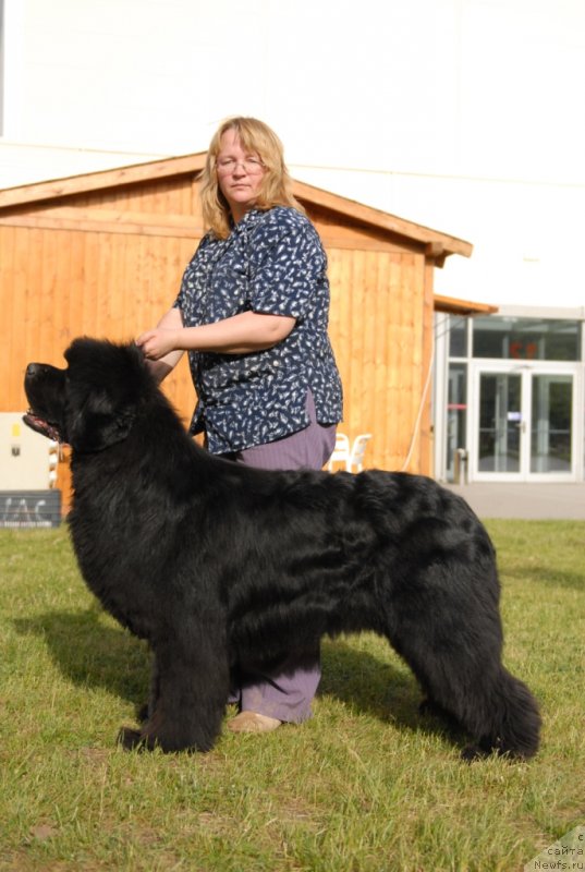 Фотография № 127942