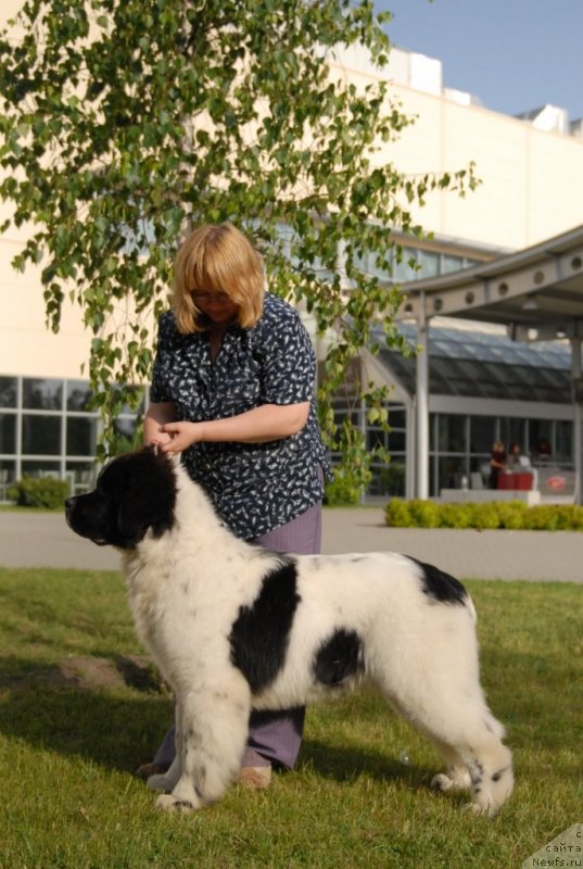 Фотография № 127945