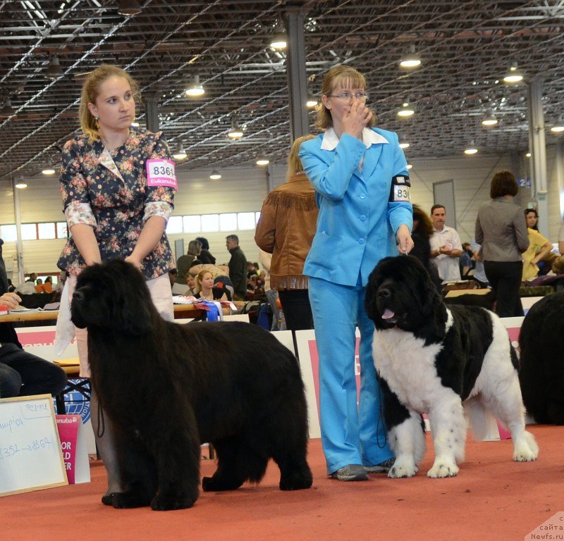 Фотография № 127954