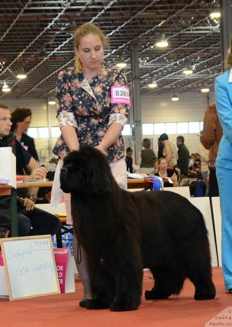 Фотография № 127955