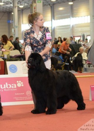 Фотография № 127964