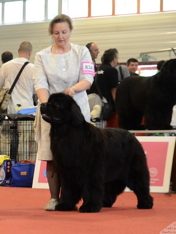 Фотография № 127966