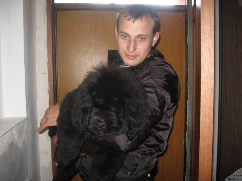 Фотография № 128003