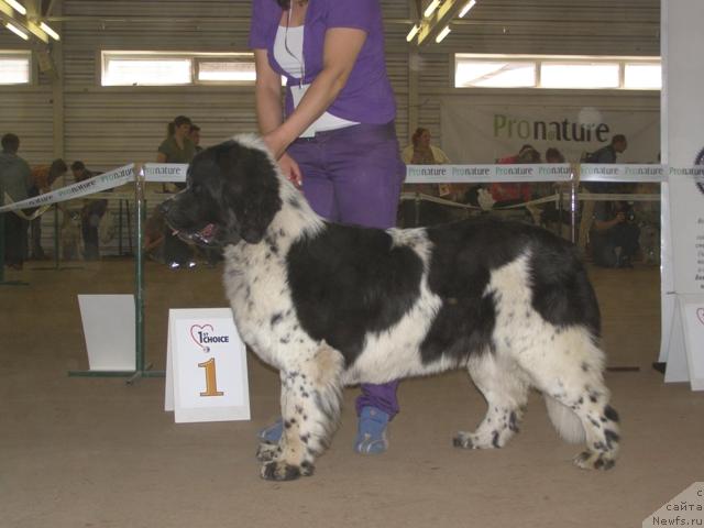 Фотография № 12802