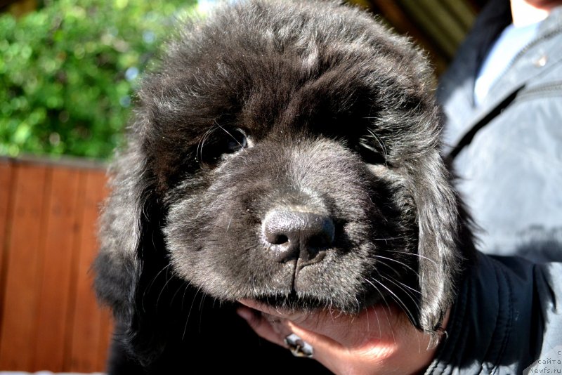 Фотография № 128034