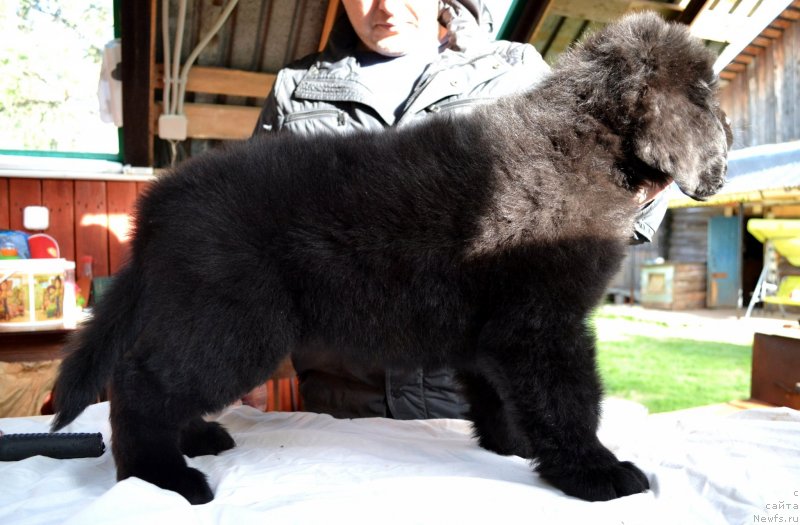 Фотография № 128035