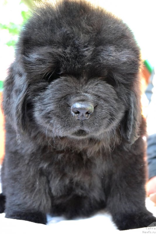 Фотография № 128044