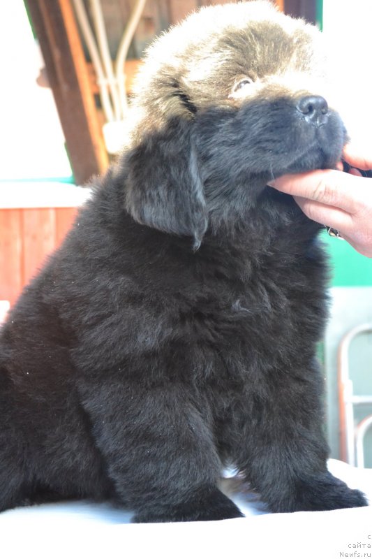 Фотография № 128048