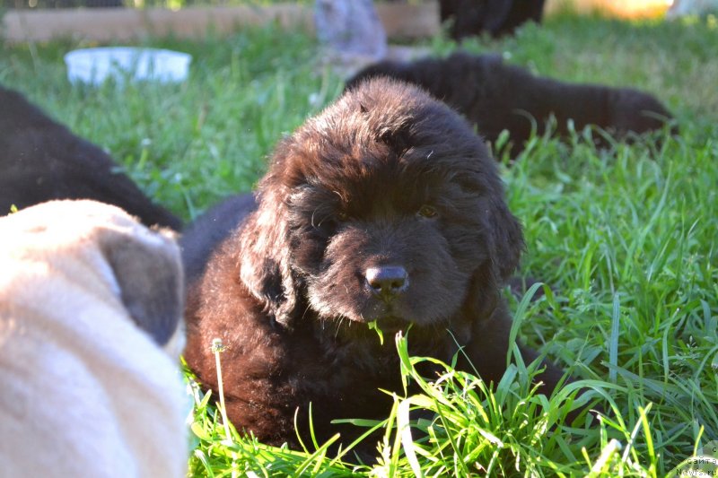 Фотография № 128052