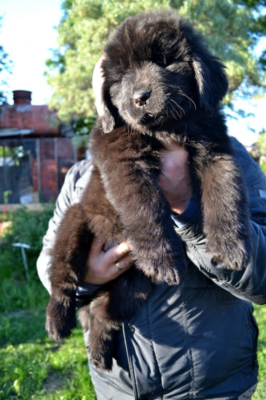 Фотография № 128058