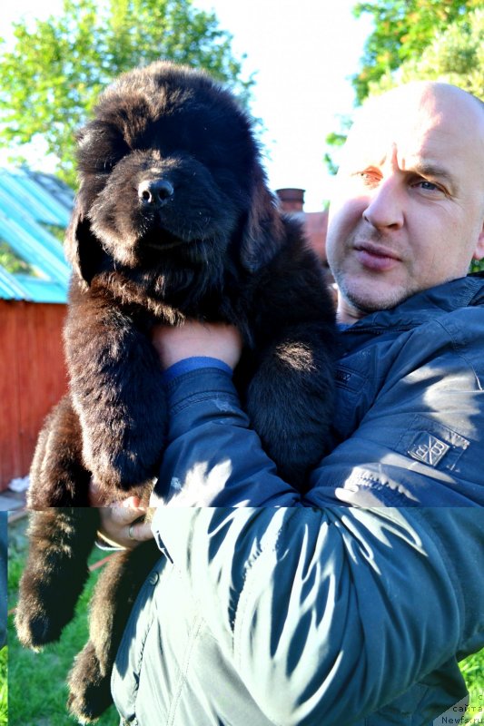 Фотография № 128059